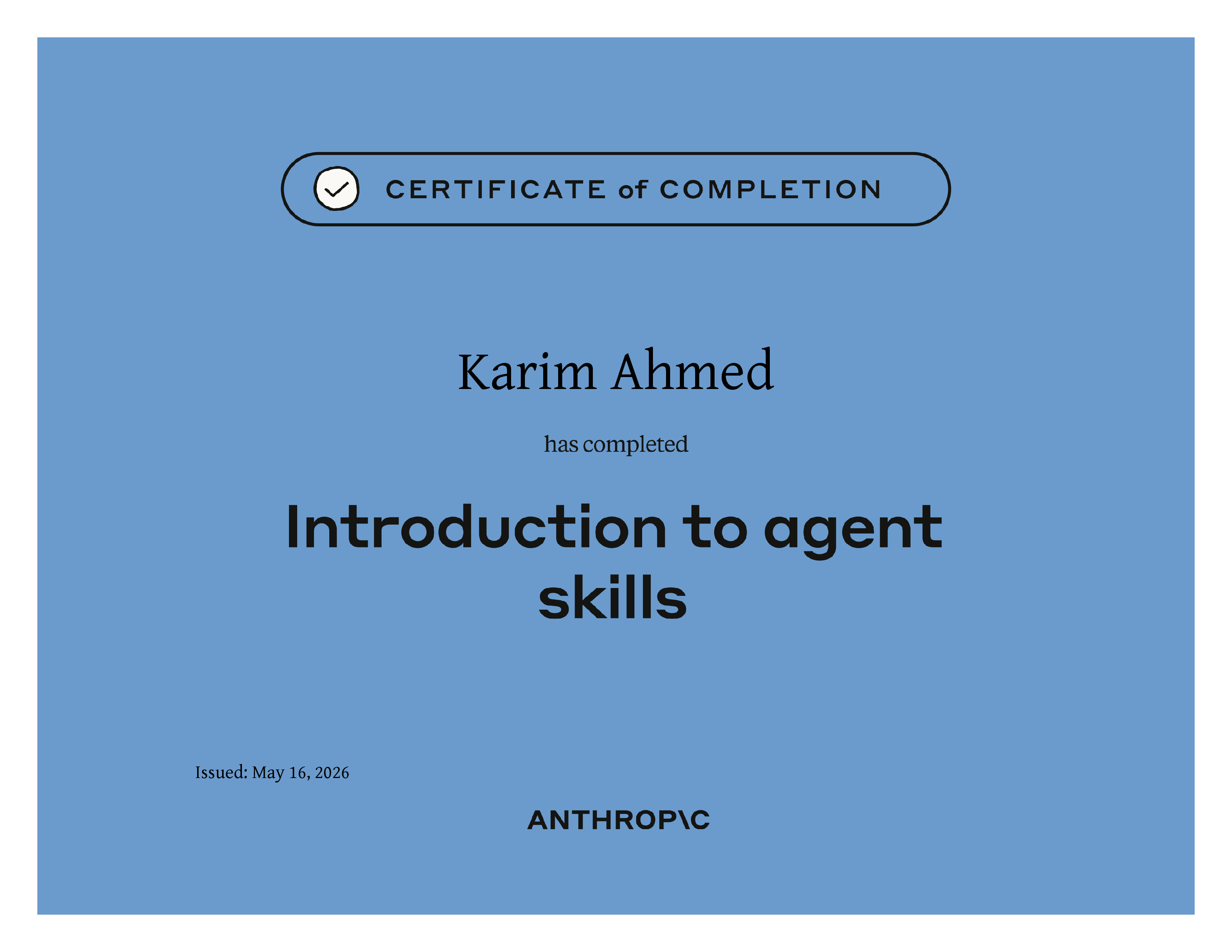 Introduction to agent skills